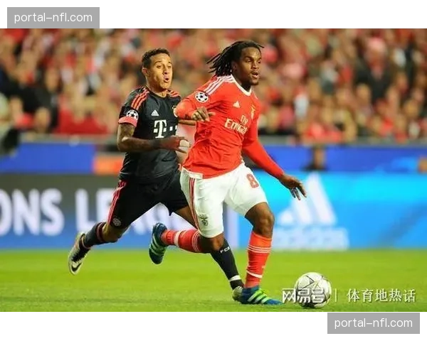 为应对极端天气，多家英超俱乐部升级球场排水与地热系统